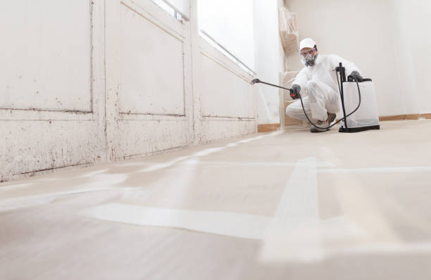 24/7 Emergency Black Mold Remediation experts in Fort Oglethorpe, GA
