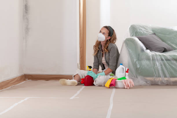 Reliable Black Mold Remediation contractor in Fort Oglethorpe, GA by 24 Hour Mold Removal